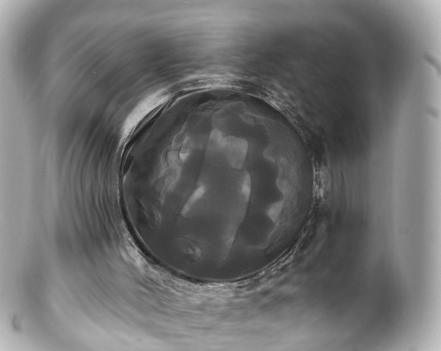 X0000100920004200807011317