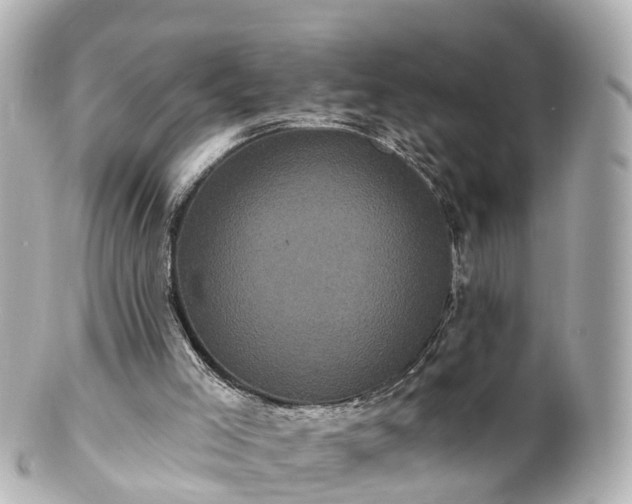 X0000100920005200807011317