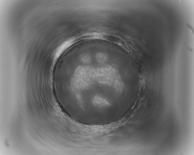 X0000100920006200807011317