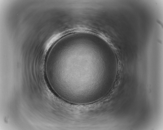 X0000100920007200807011317