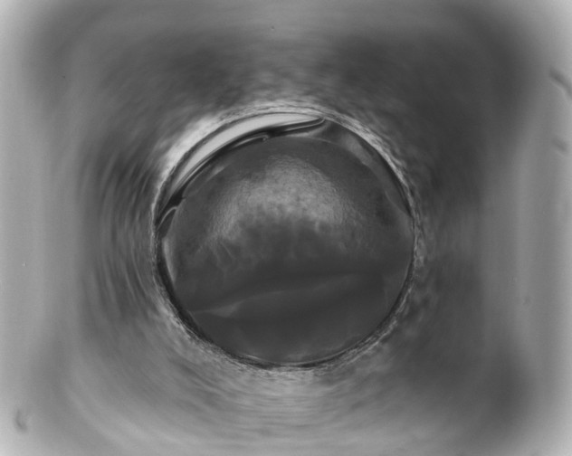 X0000100920008200807011317