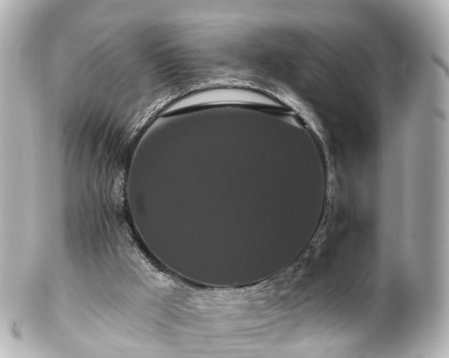 X0000100920009200807011317