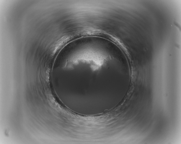 X0000100920010200807011317