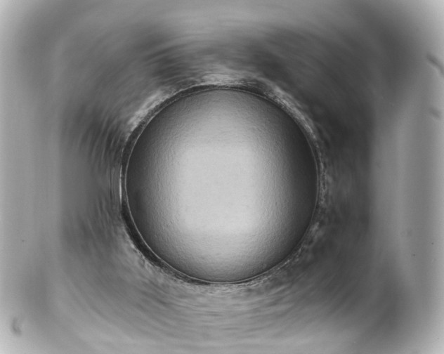 X0000100920011200807011317