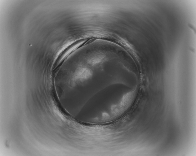 X0000100920012200807011317