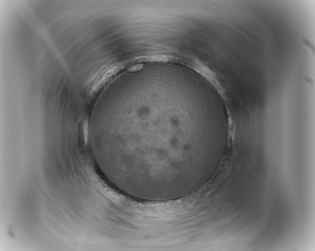 X0000100920013200807011317