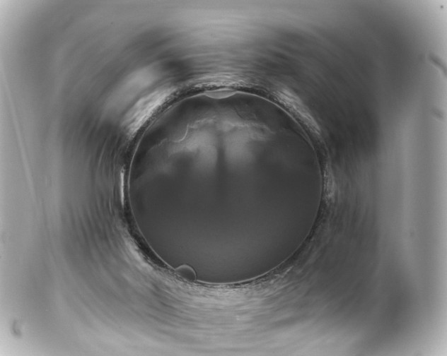 X0000100920014200807011317