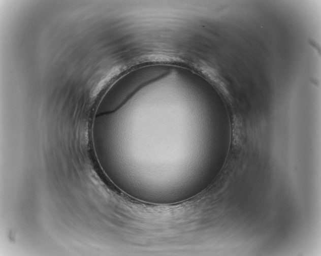 X0000100920015200807011317