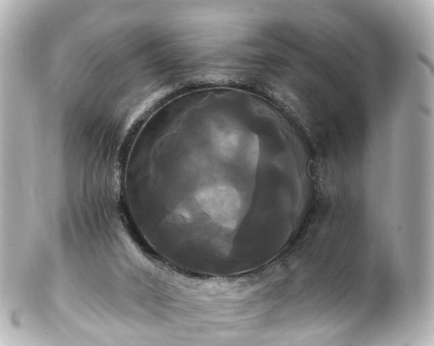 X0000100920016200807011317