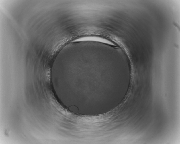 X0000100920017200807011317