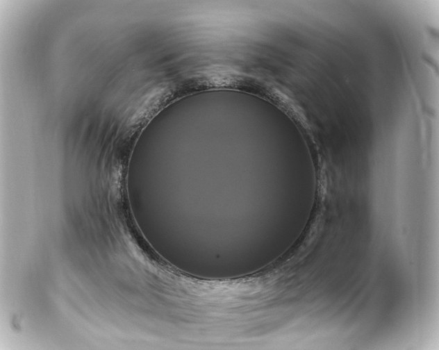 X0000100920018200807011317