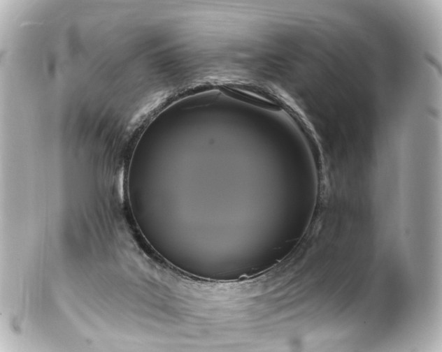 X0000100920019200807011317