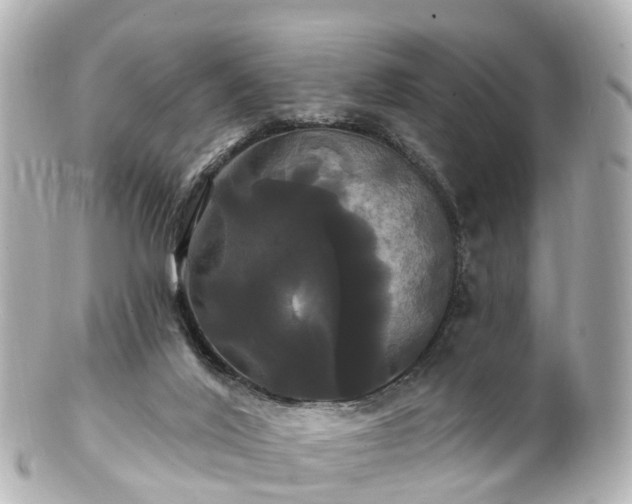 X0000100920020200807011317