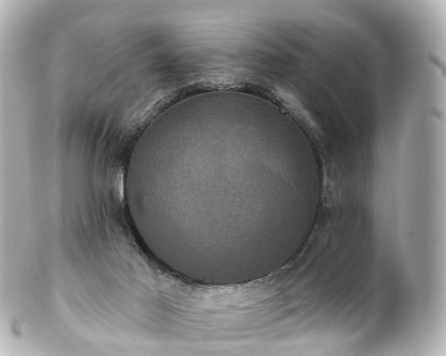 X0000100920021200807011317