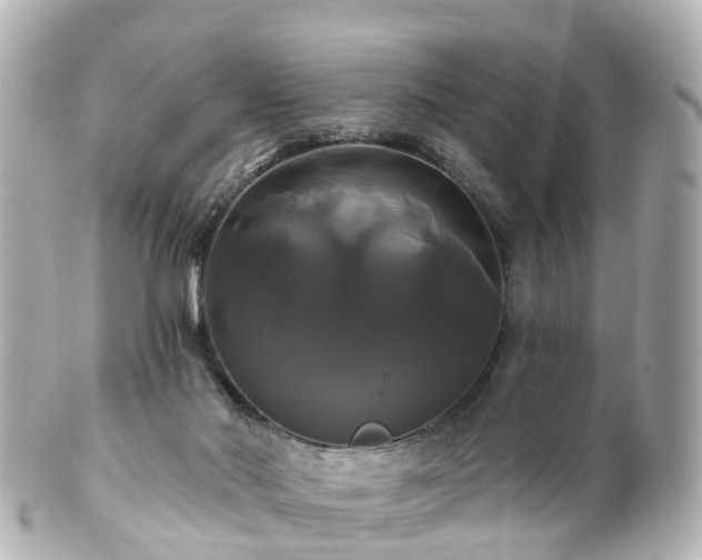 X0000100920022200807011317