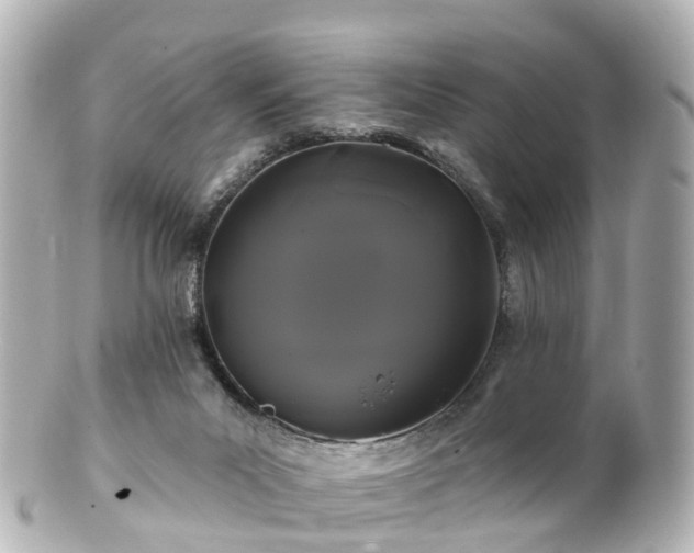 X0000100920023200807011317