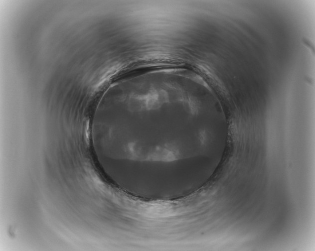 X0000100920024200807011317