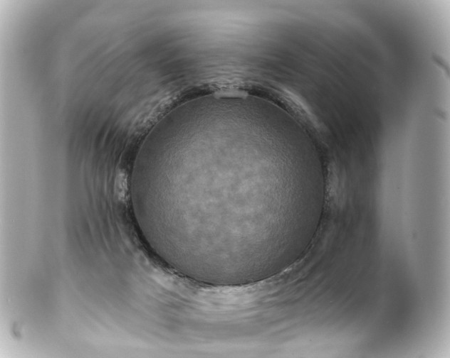 X0000100920025200807011317