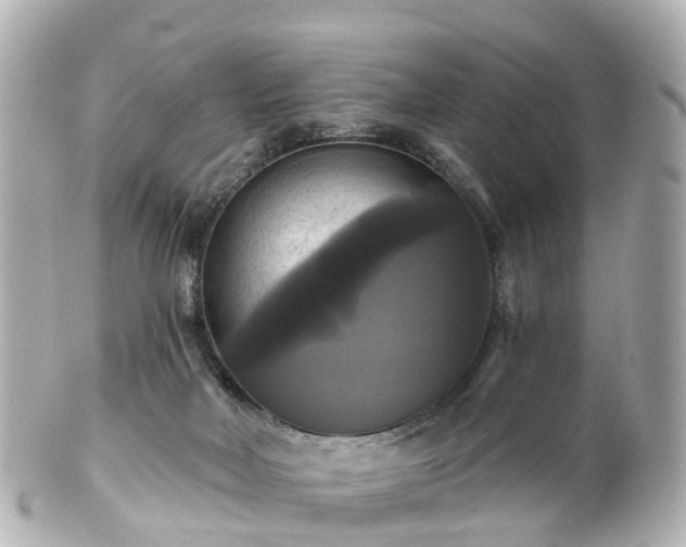 X0000100920026200807011317