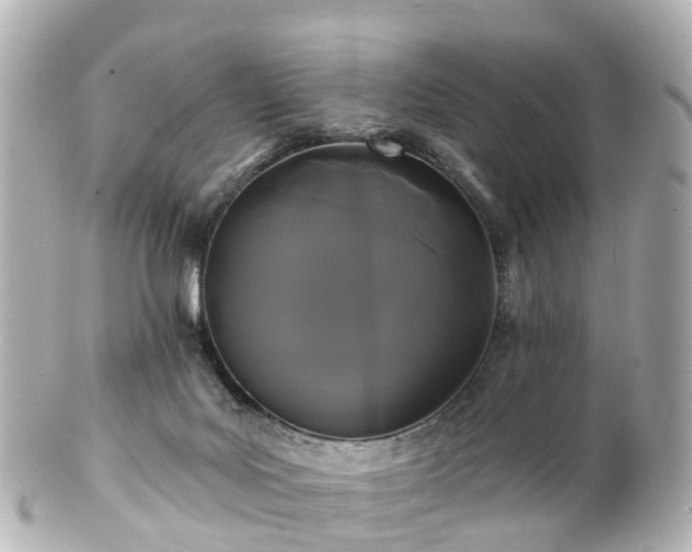 X0000100920027200807011317