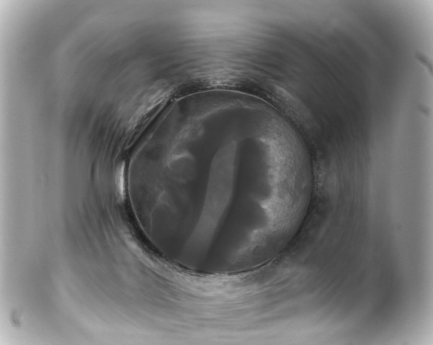 X0000100920028200807011317