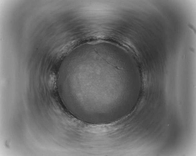 X0000100920029200807011317