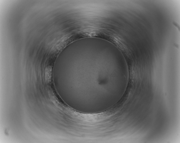 X0000100920030200807011317