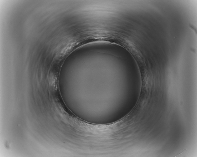 X0000100920031200807011317