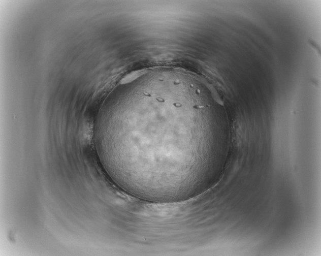 X0000100920033200807011317