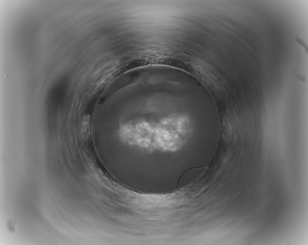 X0000100920034200807011317