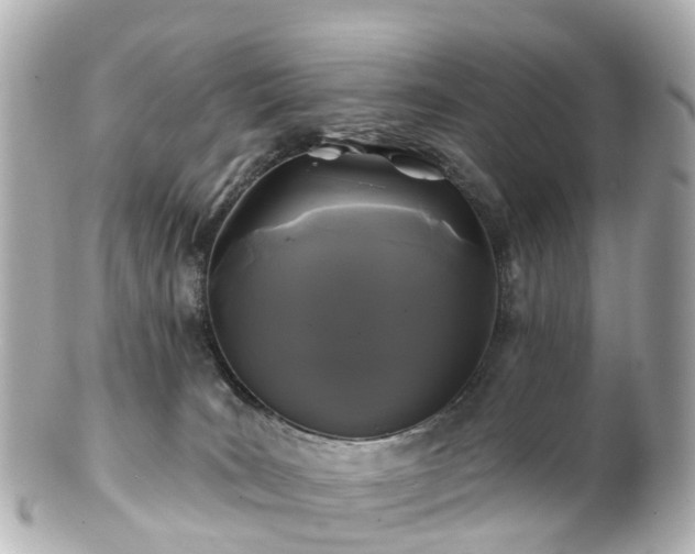 X0000100920035200807011317