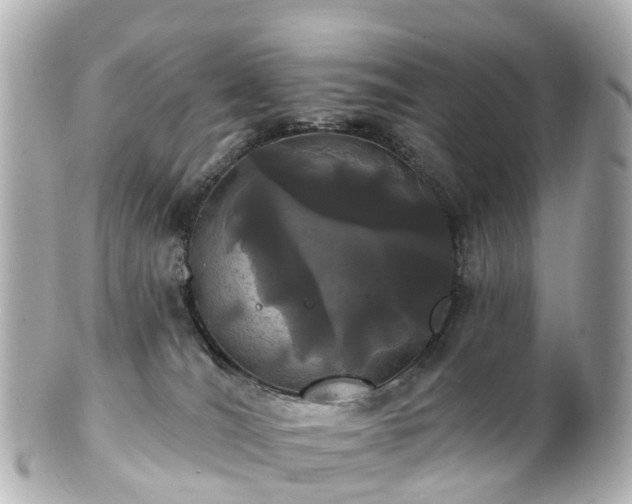 X0000100920036200807011317