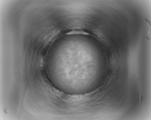 X0000100920037200807011317