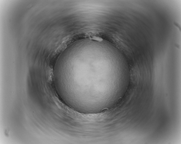 X0000100920038200807011317