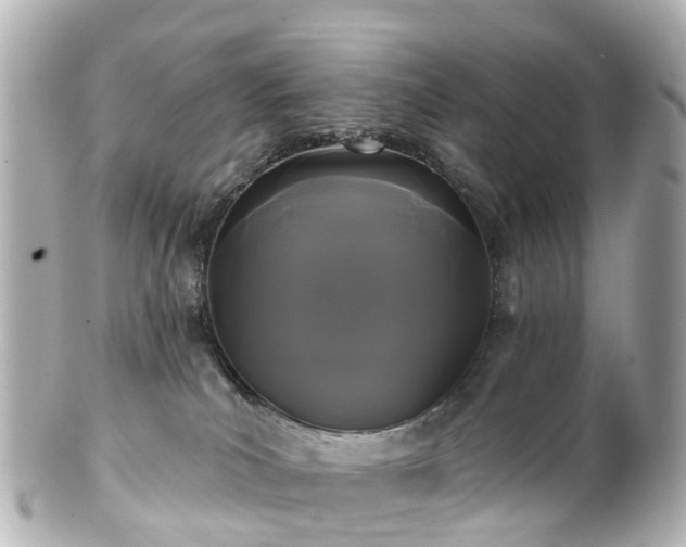 X0000100920039200807011317