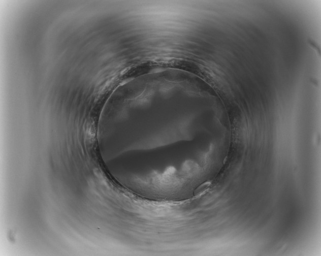 X0000100920040200807011317