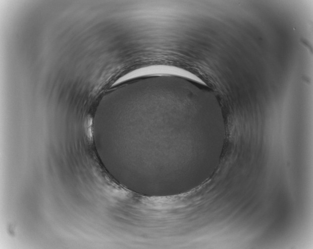 X0000100920041200807011317