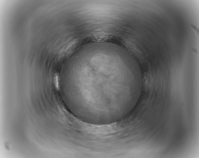 X0000100920042200807011317