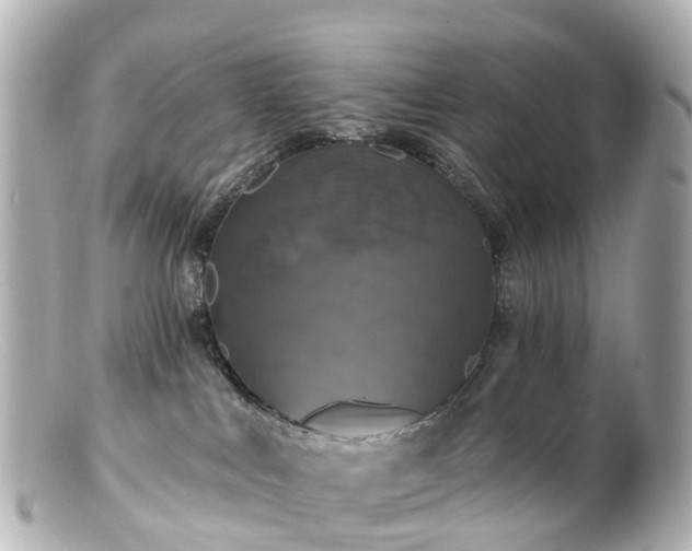 X0000100920043200807011317