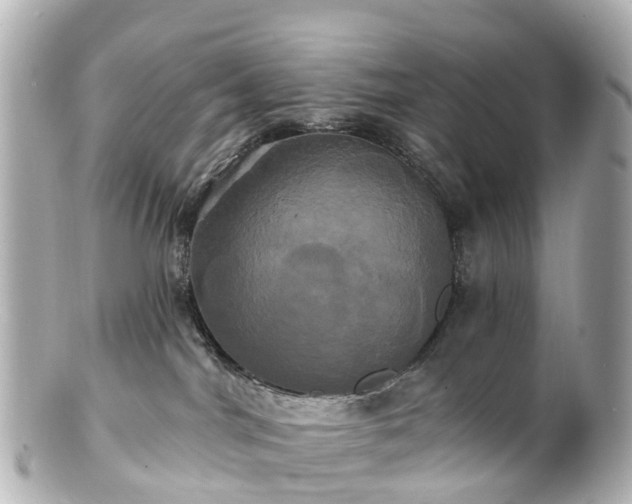 X0000100920044200807011317