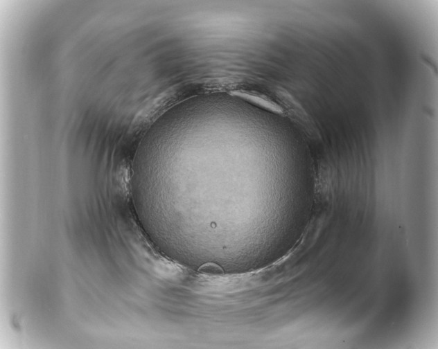 X0000100920045200807011317