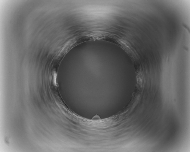 X0000100920046200807011317