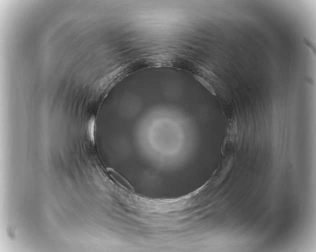 X0000100920047200807011317