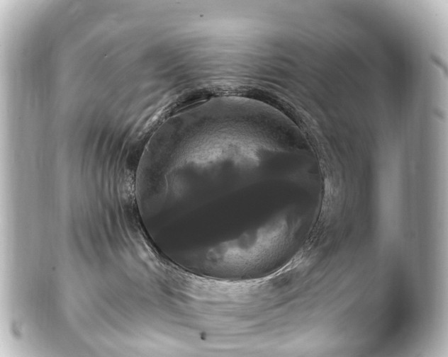 X0000100920048200807011317