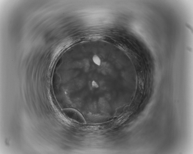 X0000100920049200807011316