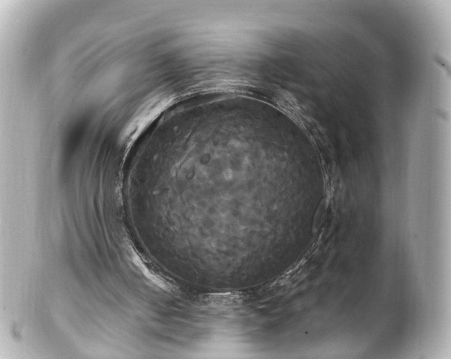 X0000100920050200807011316