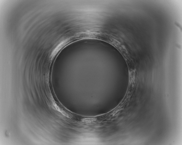 X0000100920051200807011316