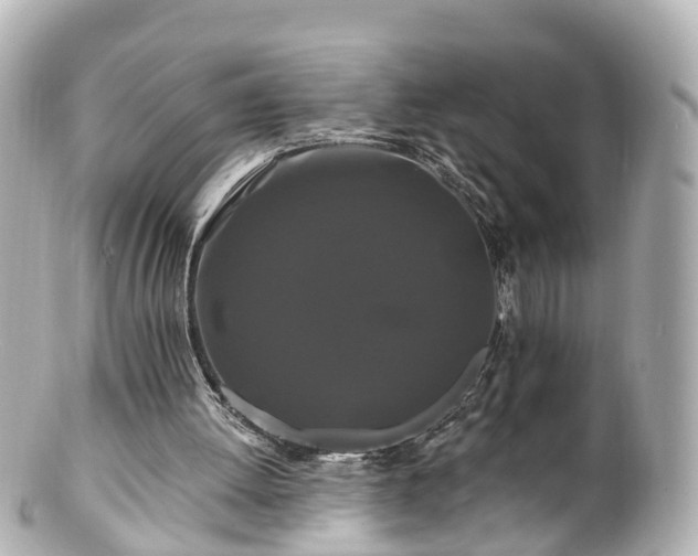 X0000100920052200807011316