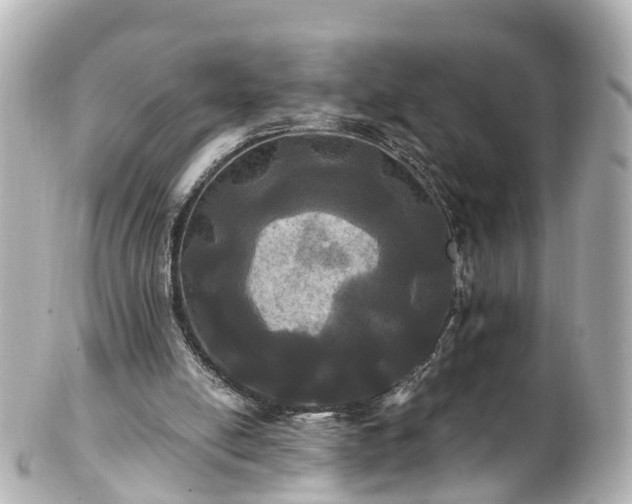 X0000100920054200807011316