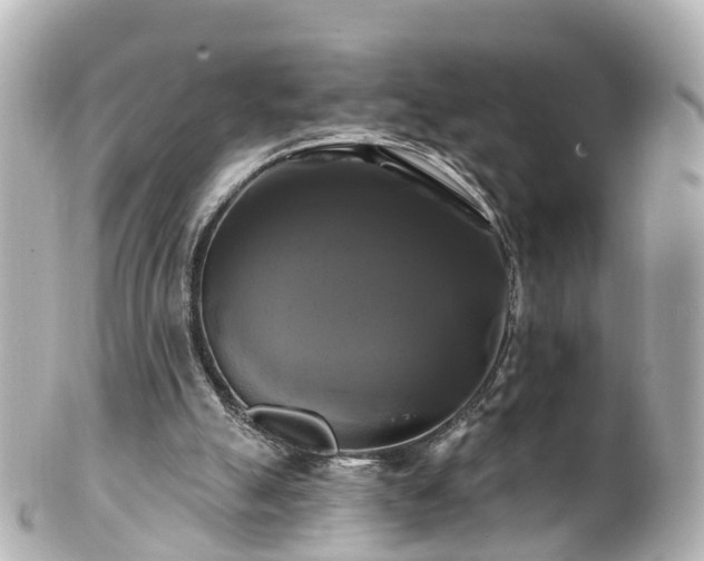 X0000100920055200807011316